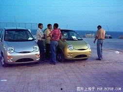 国产自在,探寻中国本土文化的独特魅力